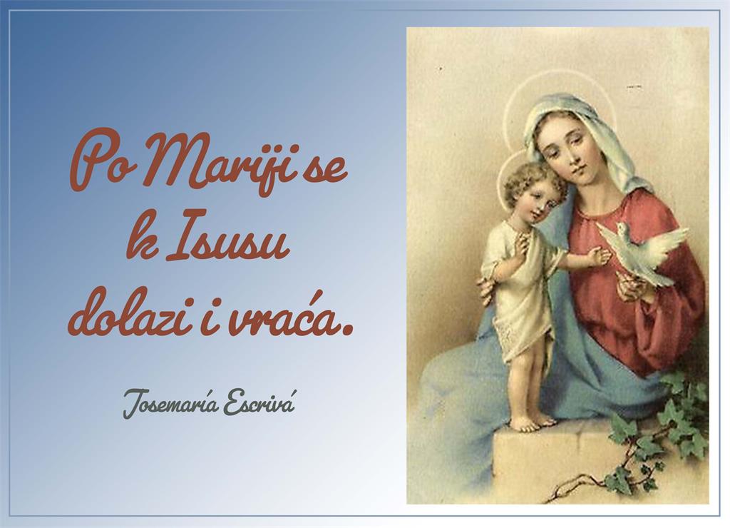 Po MARIJI za web
