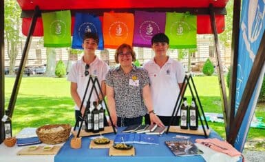 Učenička zadruga - Gigantes na 23. Smotri učeničkih zadruga Grada Zagreba!